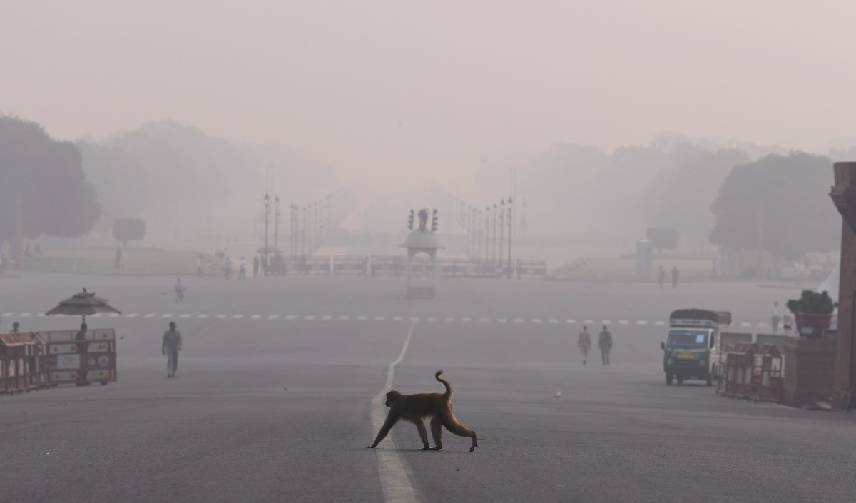 Delhi Air Quality | दिल्ली में सांस लेना मुश्किल, लगातार खराब हो रही है वायु गुणवत्ता, गंभीर श्रेणी में दर्ज