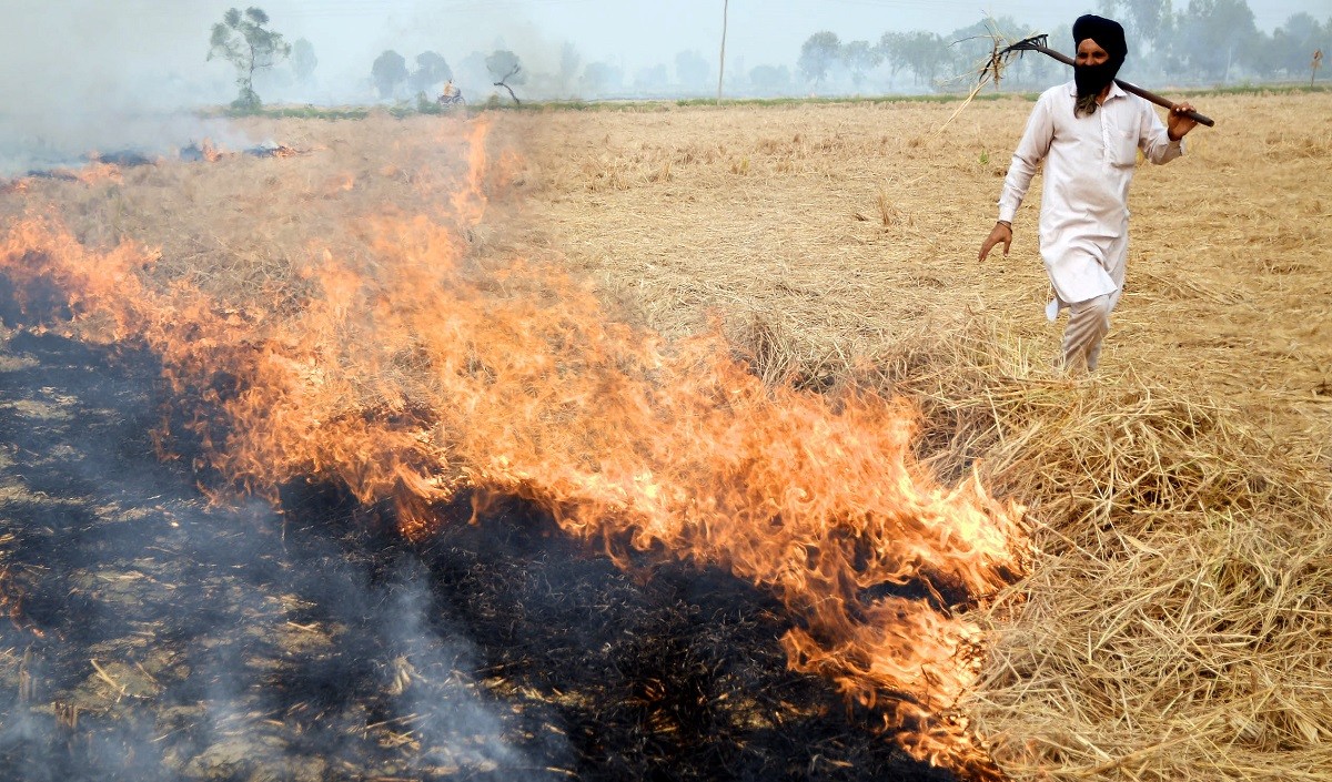 Punjab 