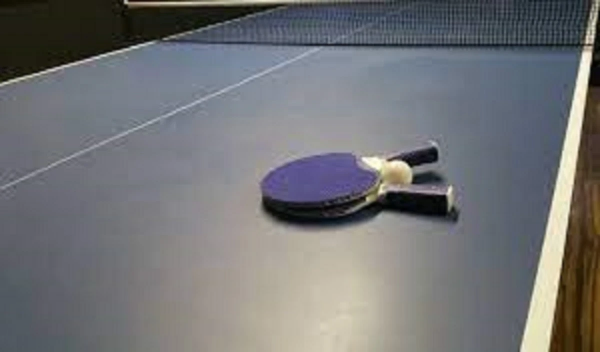 Table Tennis Series
