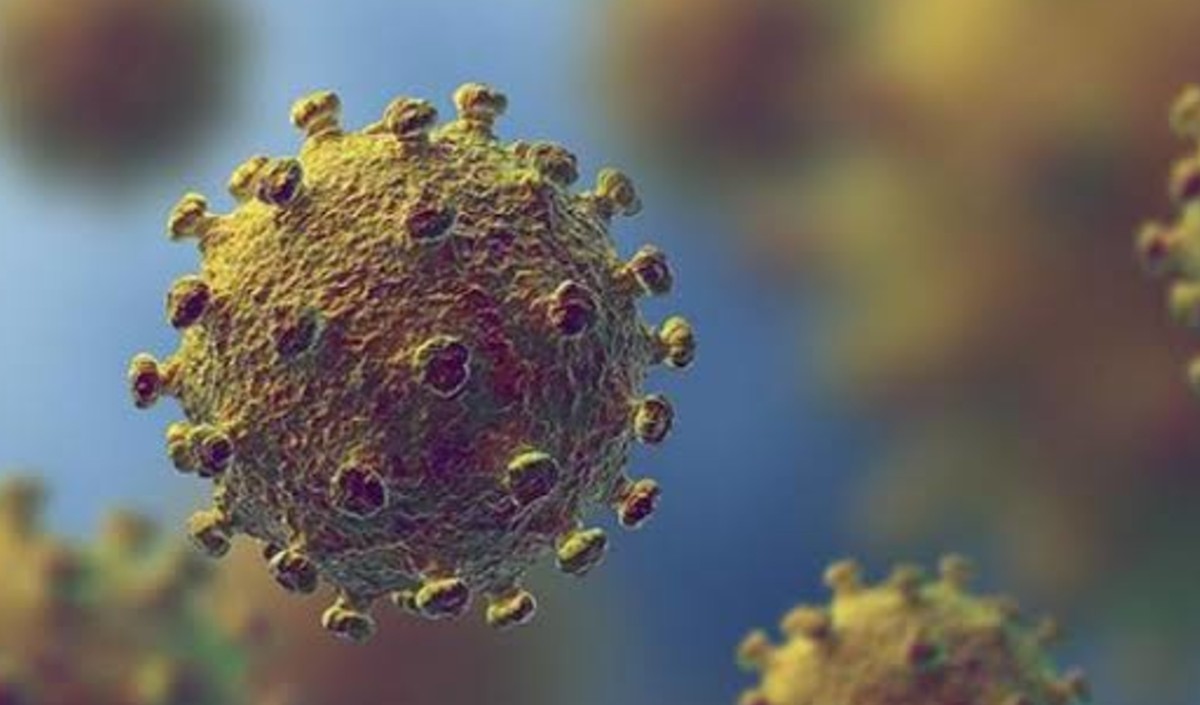 Corona in mp Corona in mp