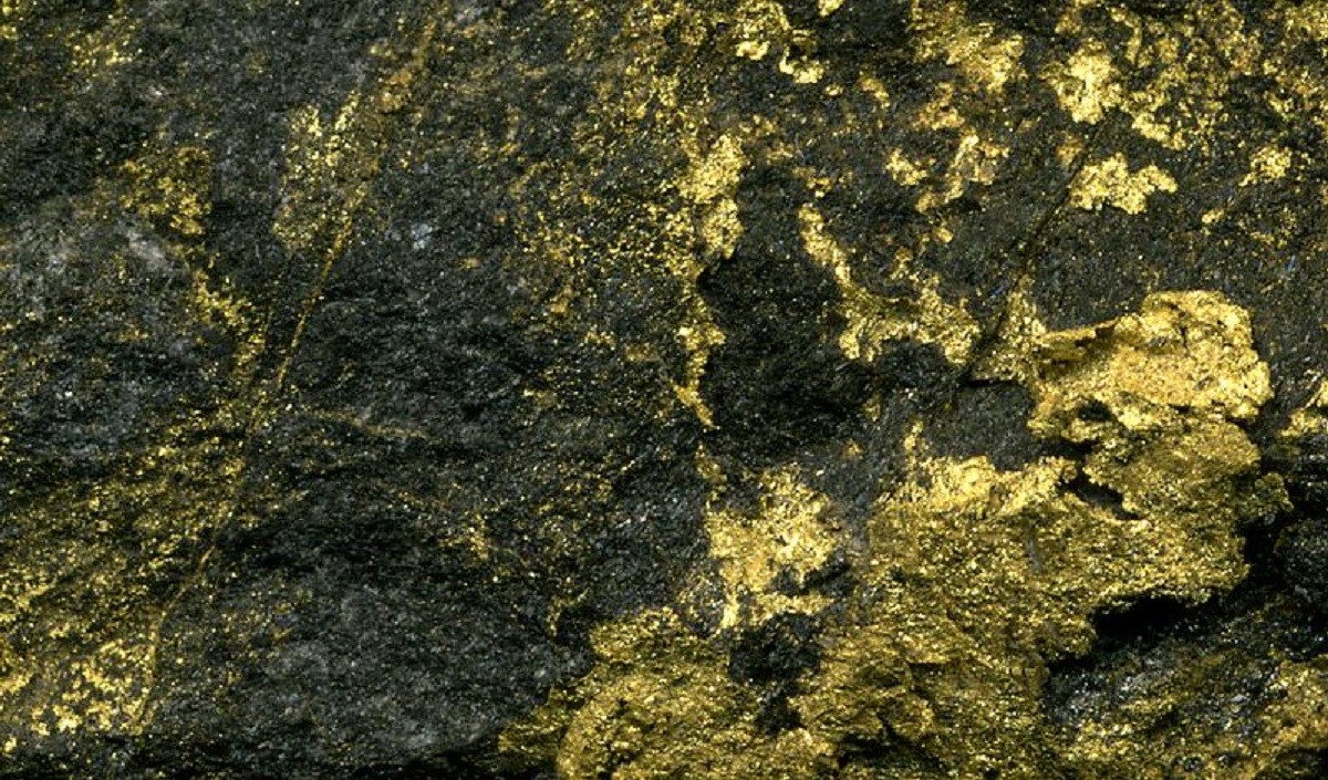 gold gold