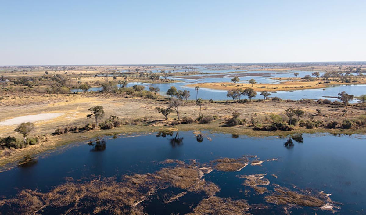 world wetlands day