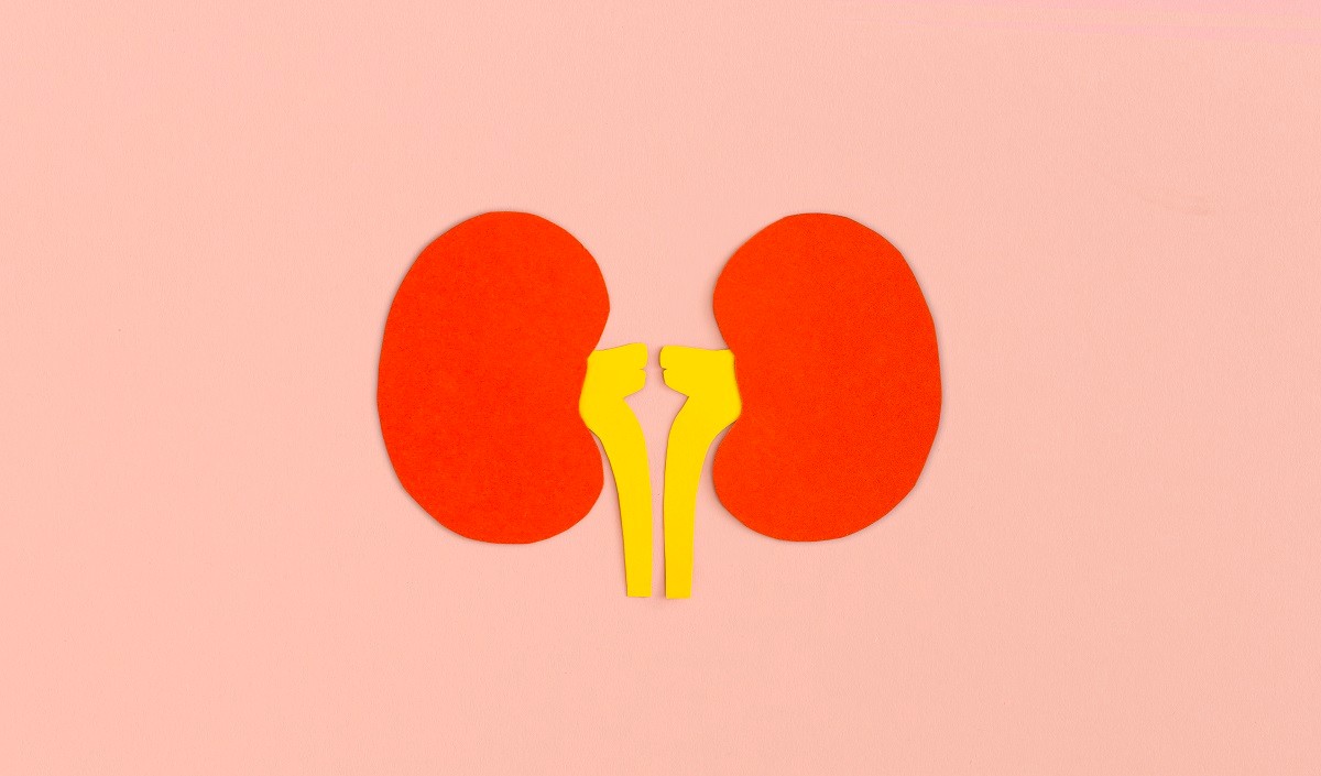Chronic Kidney Disease: शरीर में दिख रहे हैं यह लक्षण तो हो जाएं सावधान, झेलनी पड़ सकती है गंभीर समस्या