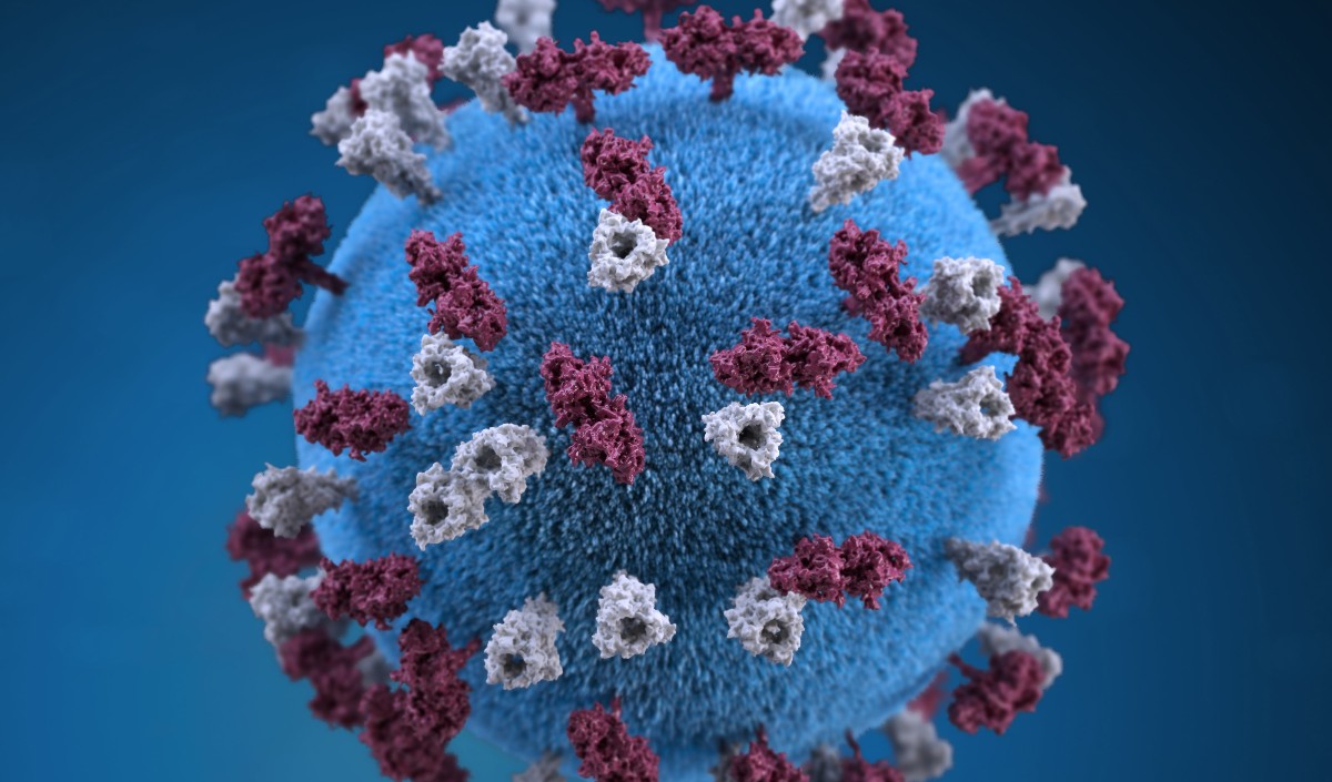 measles measles