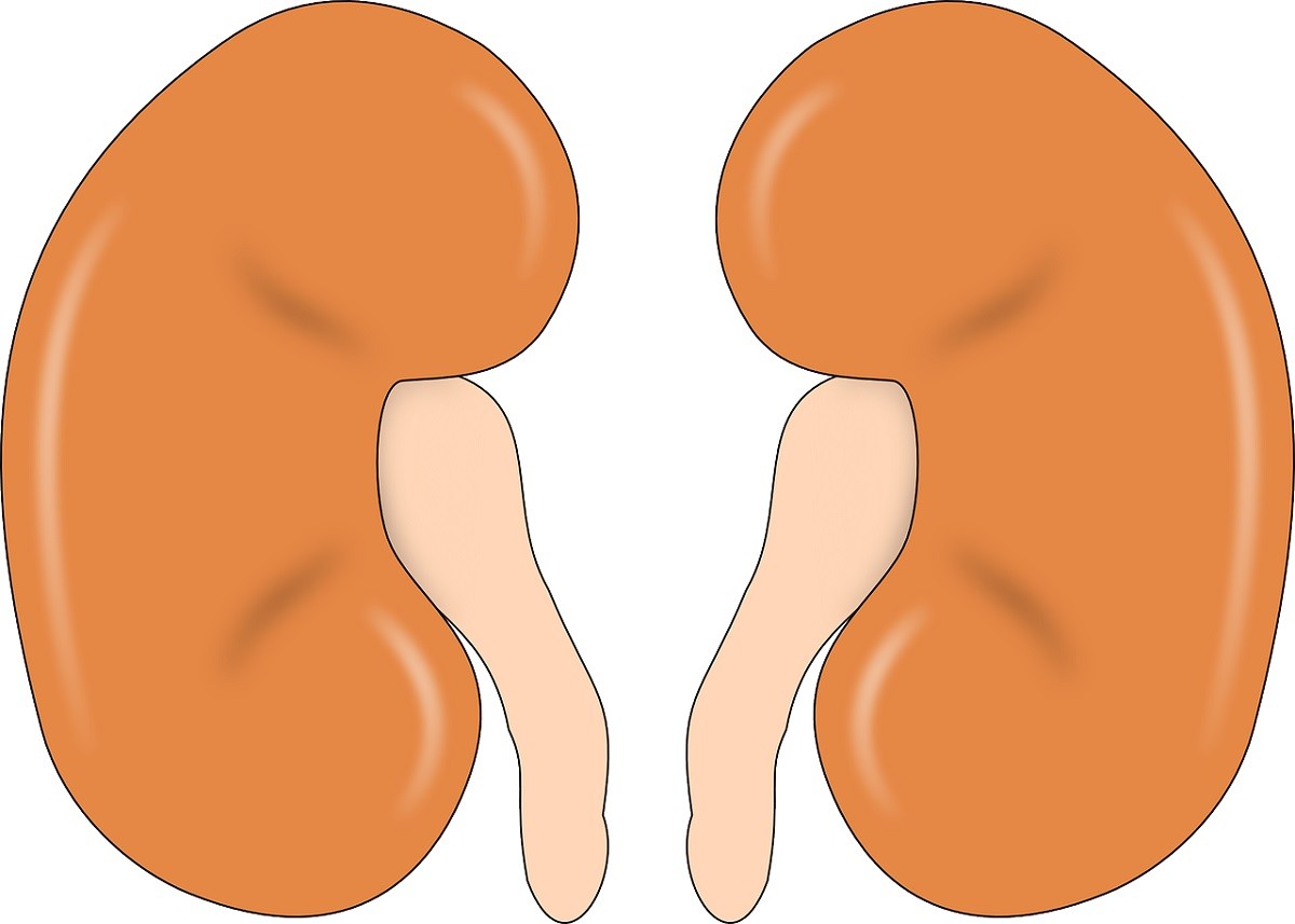 Kidney Failure : किडनी से जुड़े इन लक्षणों को नज़रअंदाज़ करना पड़ सकता है भारी