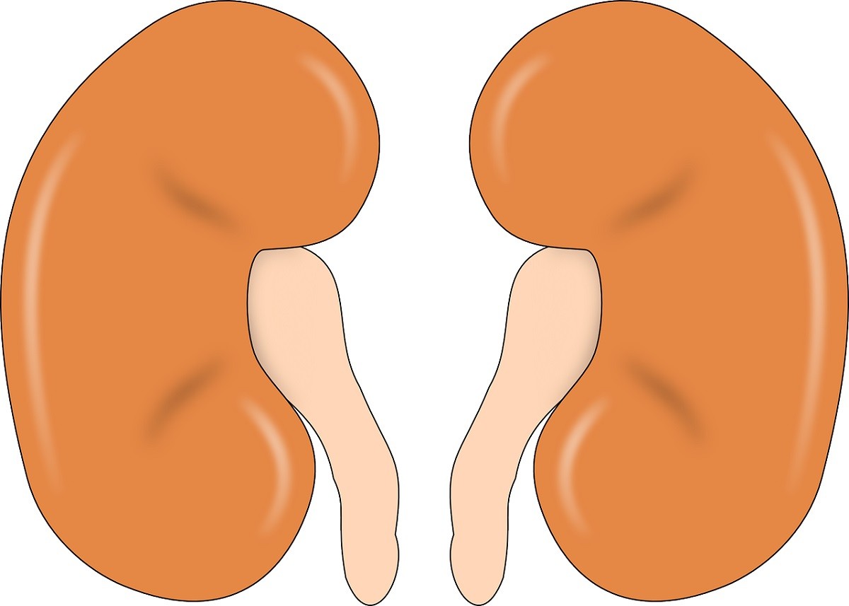 research-finds-gerd-drugs-increase-risk-of-kidney-failure