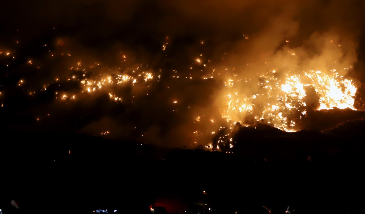 जम्मू-कश्मीर: सेना ने उधमपुर के एक जंगल में लगी आग पर पाया काबू