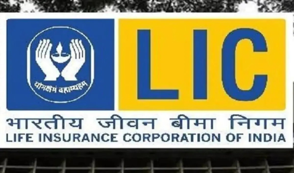 LIC के IPO पर 25 बड़े निवेशकों की नजर, सरकार की है बड़ी योजना