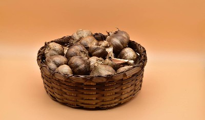 Black Garlic: औषधीय गुणों से भरपूर काले लहसुन से शरीर को मिलेंगे कई स्वास्थ्य लाभ, ऐसे करें इसका सेवन