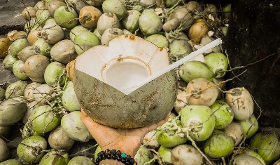 पाचन तंत्र को दुरूस्त रखता है नारियल पानी, जानें इसके फायदे