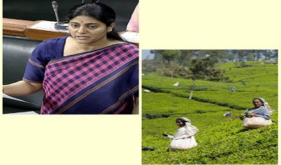 भारत को गुणवत्तापरक चाय का वैश्विक आपूर्तिकर्ता बनाने की जरूरत: अनुप्रिया