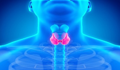 Thyroid Symptoms: बेहद खतरनाक होती है थायराइड की बीमारी, जानें इसके लक्षण