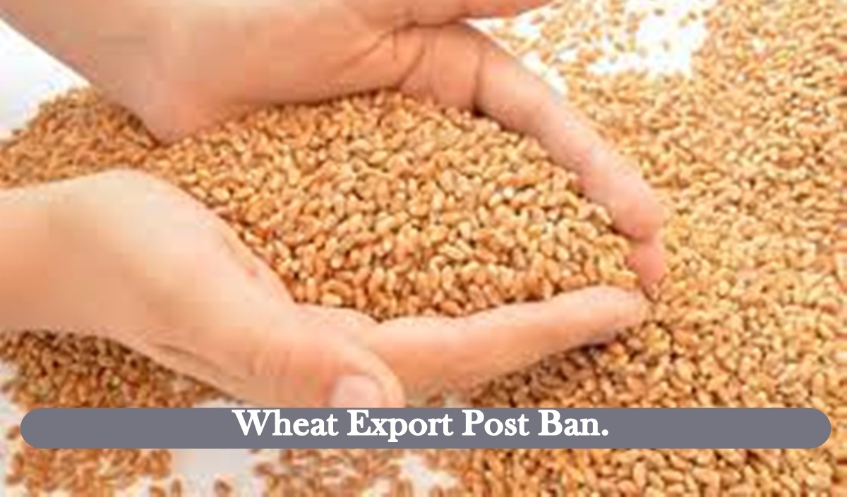Wheat Export 
