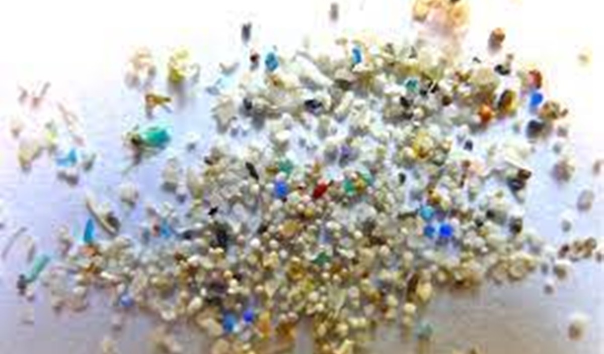 Micro Plastics 