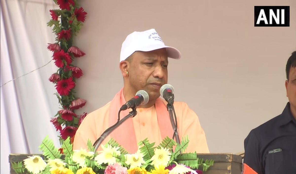 Yogi Yogi