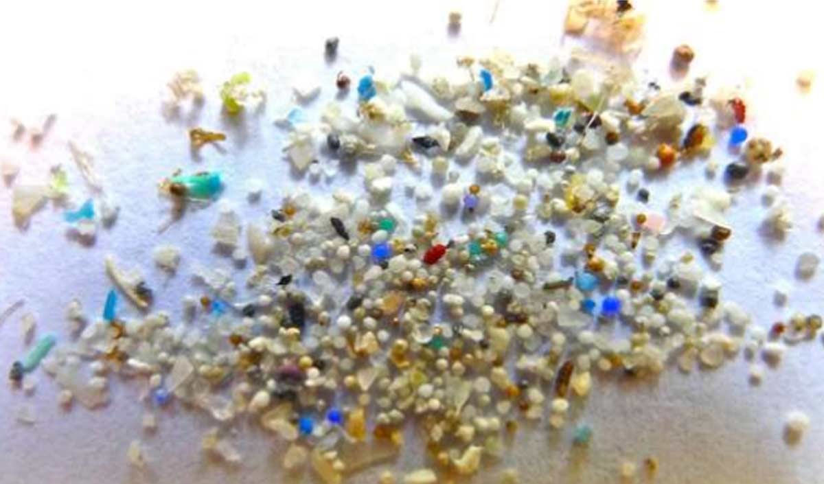nano plastic pollutants