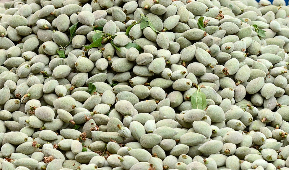 raw green almonds