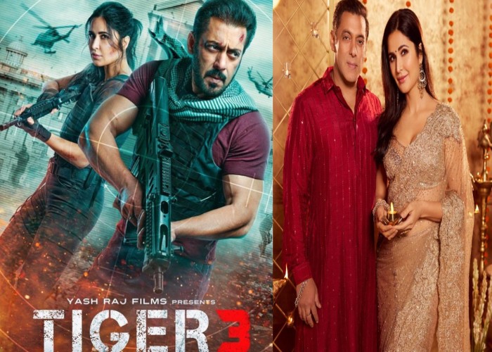 Tiger 3 Review: एक्शन से भरपूर है सलमान-कैटरीना की फिल्म टाइगर 3, शाहरुख खान लूट ले गए महफिल
