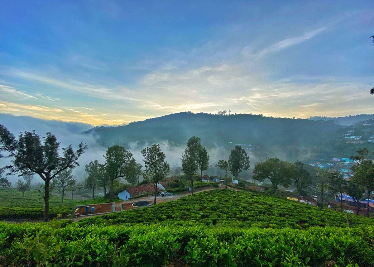 Travel Tips: नवंबर में एक्सप्लोर करें भारत की ये जगहें, दोस्त या फैमिली के साथ बनाएं प्लान