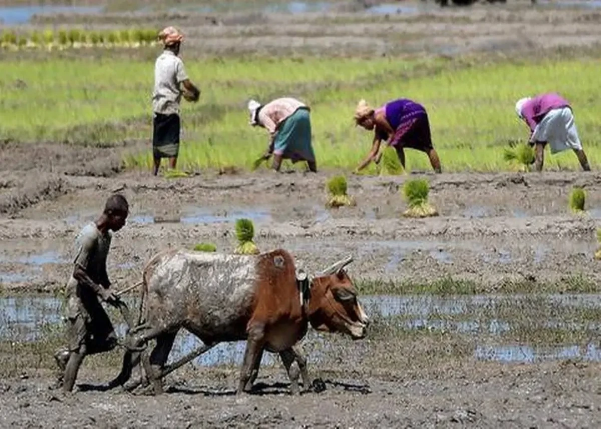 Manipur Farmers: मणिपुर सरकार ने राज्य के किसानों और कारीगरों को दी बढ़ी सौगात, जानिए क्या है खास