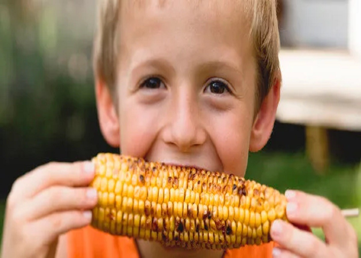 Boiled Corn Benefit: टेस्ट के साथ सेहत के लिए भी लाभकारी है भुट्टा, ऐसे खाएंगे तो मिलेंगे गजब के फायदे