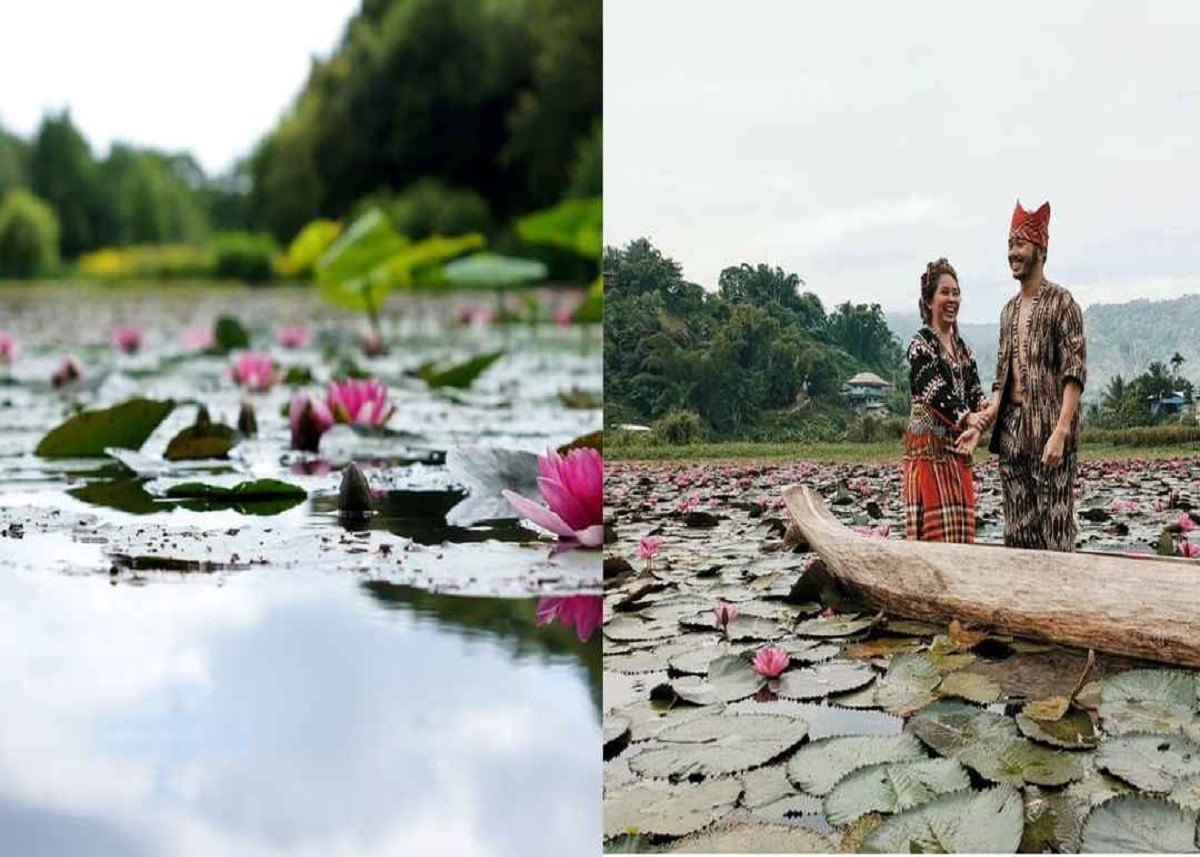 Famous Valley: MP की ये लोटस वैली देख भूल जाएंगे असम और कश्मीर, मिस ना करें सनसेट का नजारा