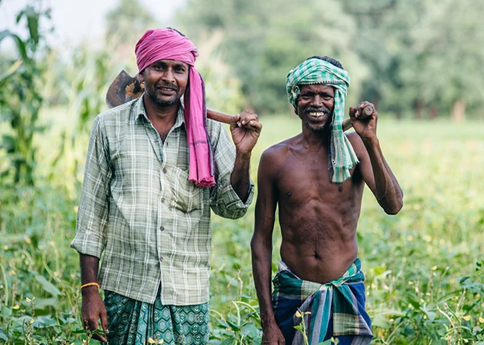 Odisha Farmers: ओडिशा सरकार ने किसानों की आय बढ़ाने के लिए शुरू की ये योजना, किसान जल्द उठाएं इसका फायदा