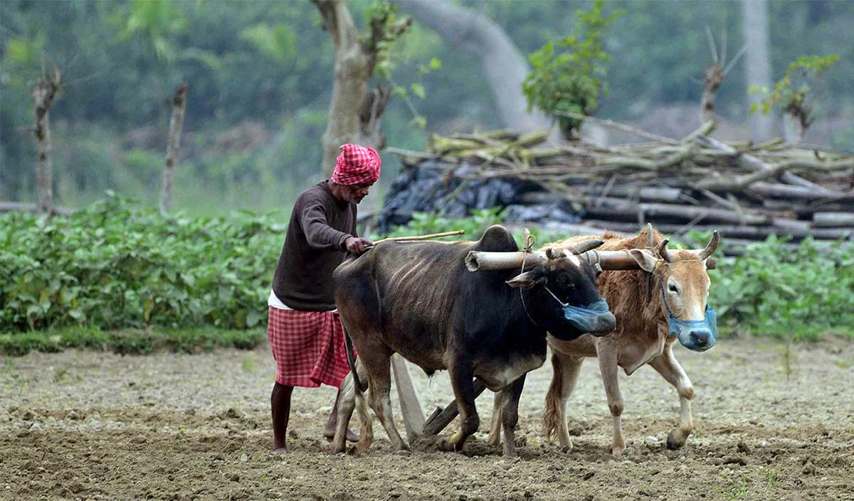 Indian farmer