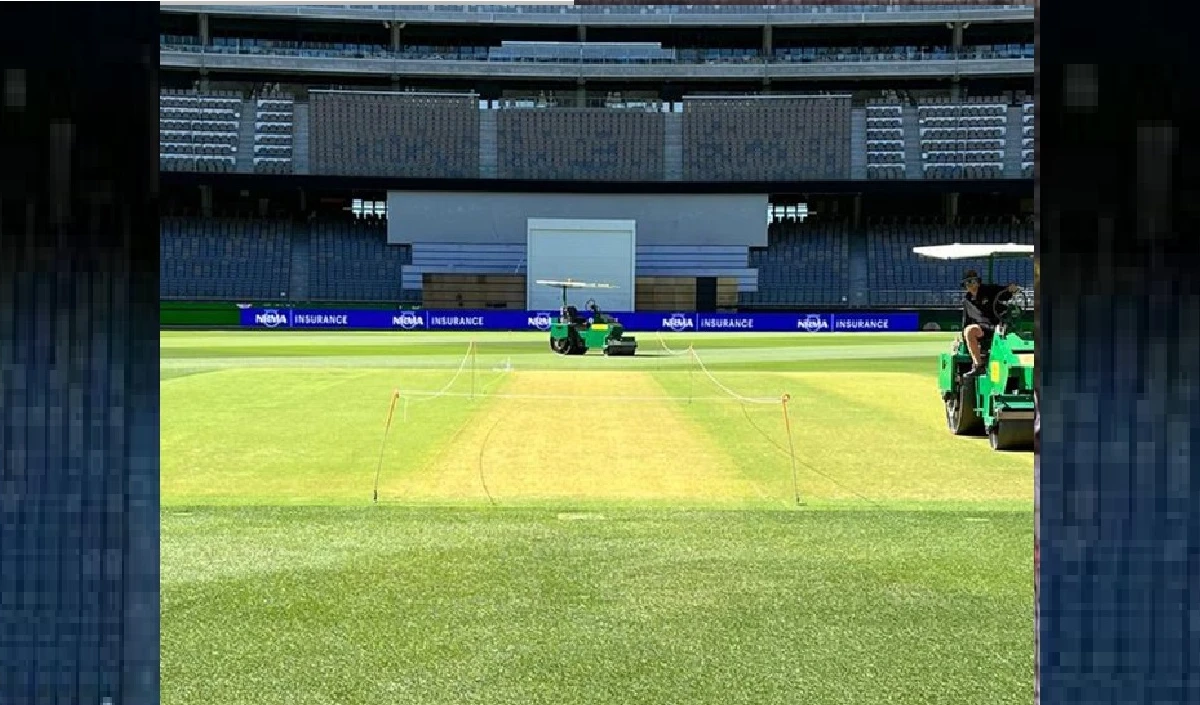  perth stadium pitch