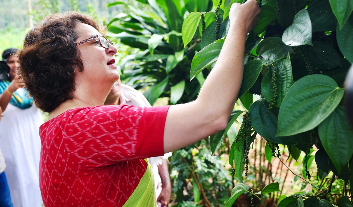 Priyanka Gandhi