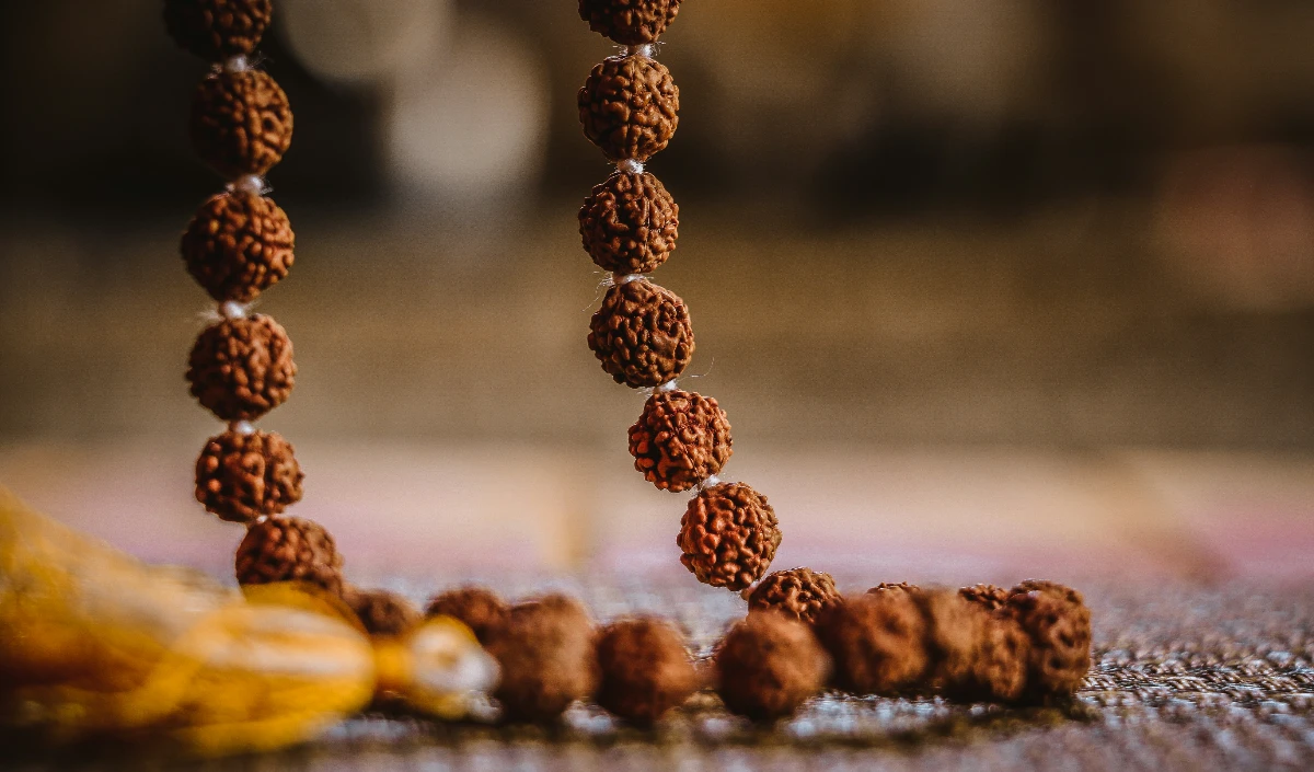 Rudraksha