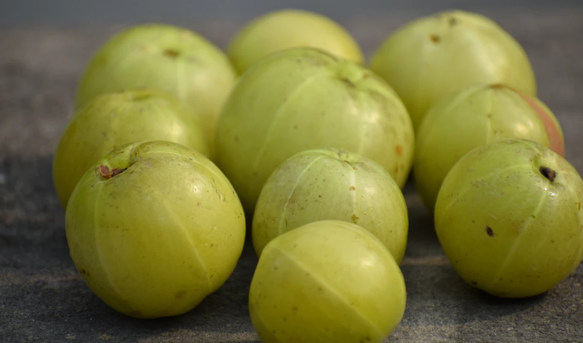 Amla 