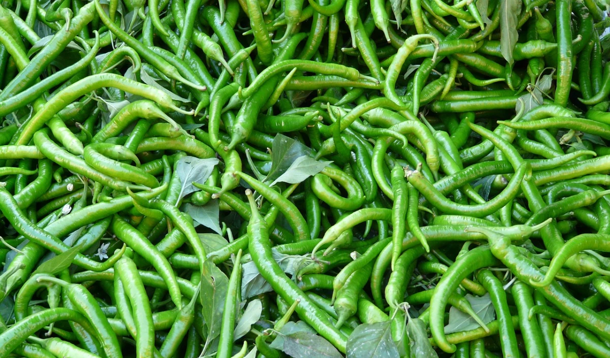  green chillies