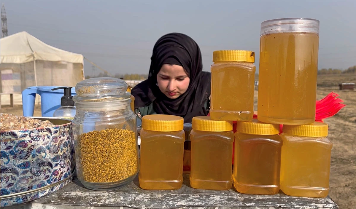 Kashmir Beekeeper Sania Zehra