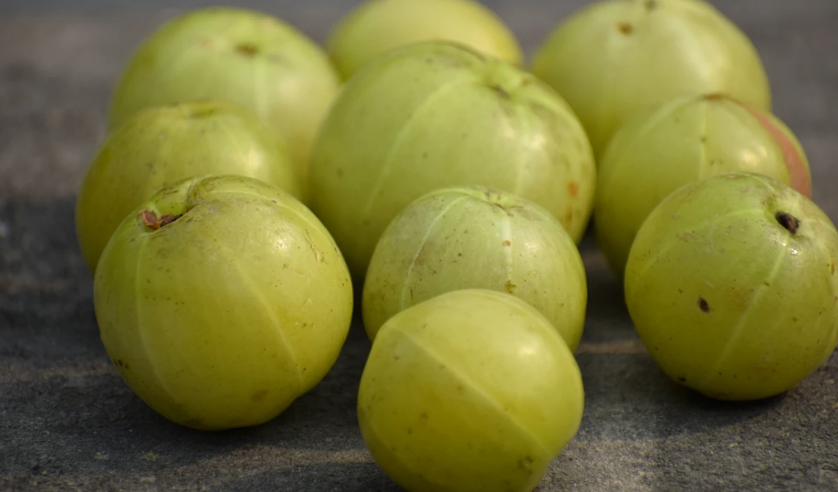 amla