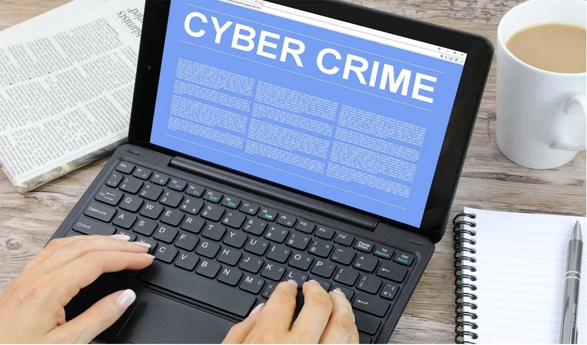 cyber crimes