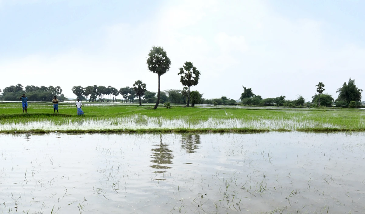  Tamil Nadu rain