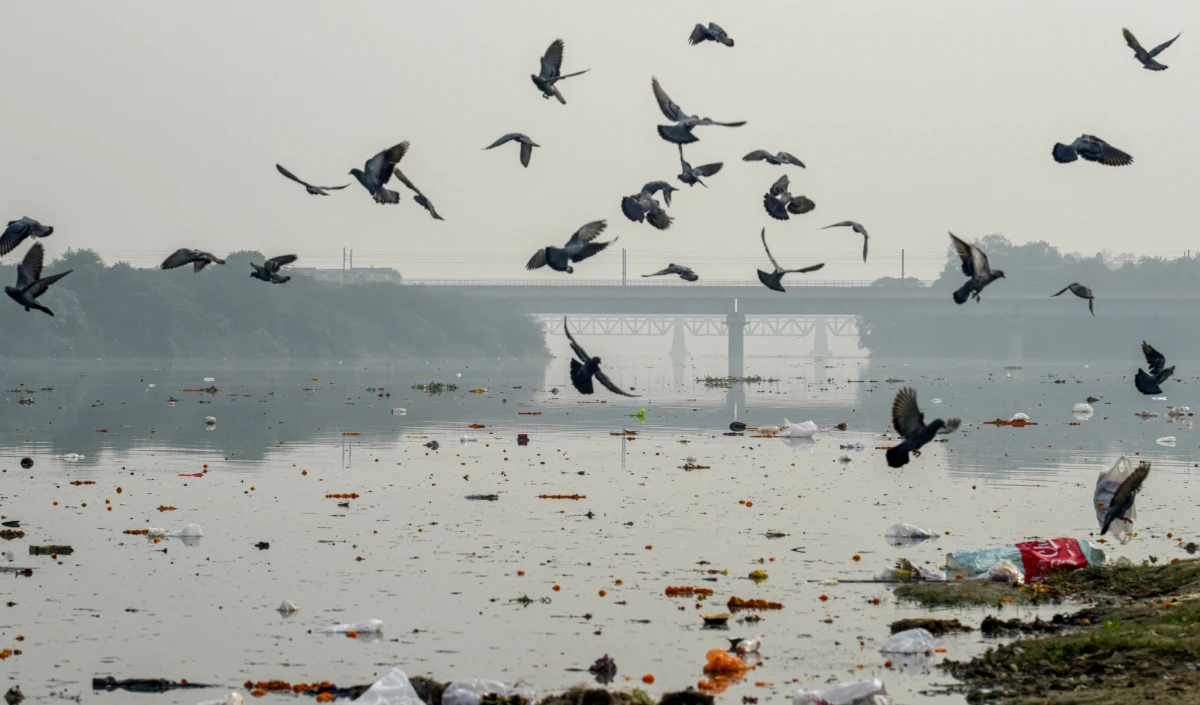 Yamuna river