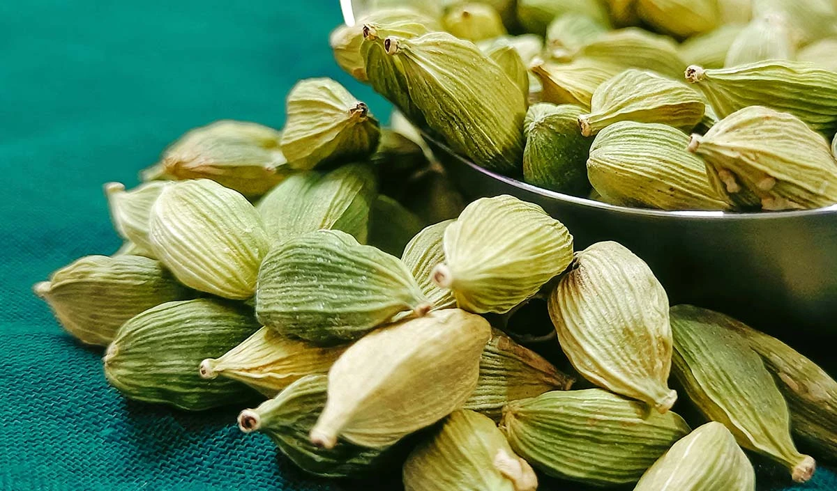 Cardamom