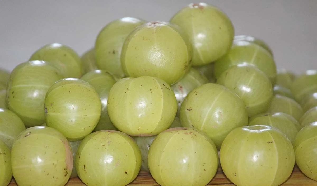 amla