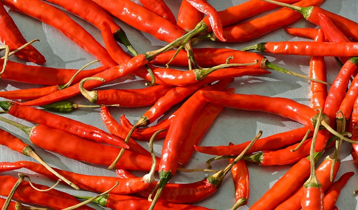 Red Chili Remedies