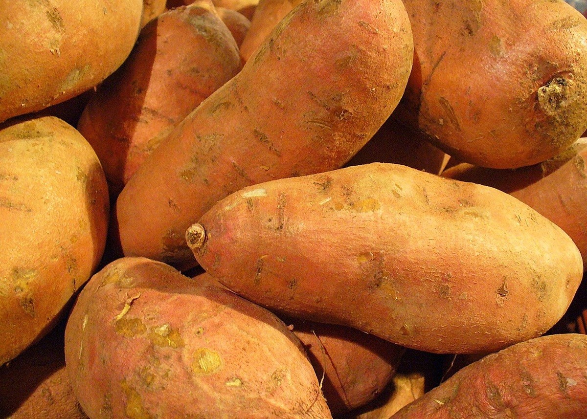 Sweet Potato: पोषक तत्वों का भंडार है शकरकंद, सर्दियों में इसे खाने से मिलते हैं ढेरों फायदे