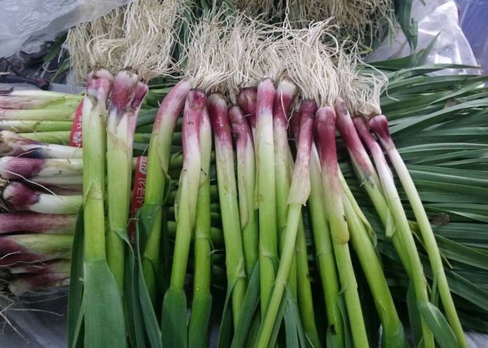 Health Benefits Of Green Garlic: दिल के स्वास्थ्य के लिए बेहद लाभकारी होता है हरा लहसुन