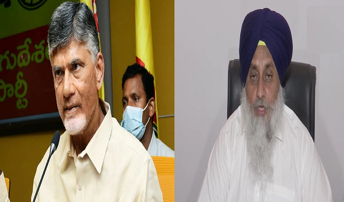 TDP SAD