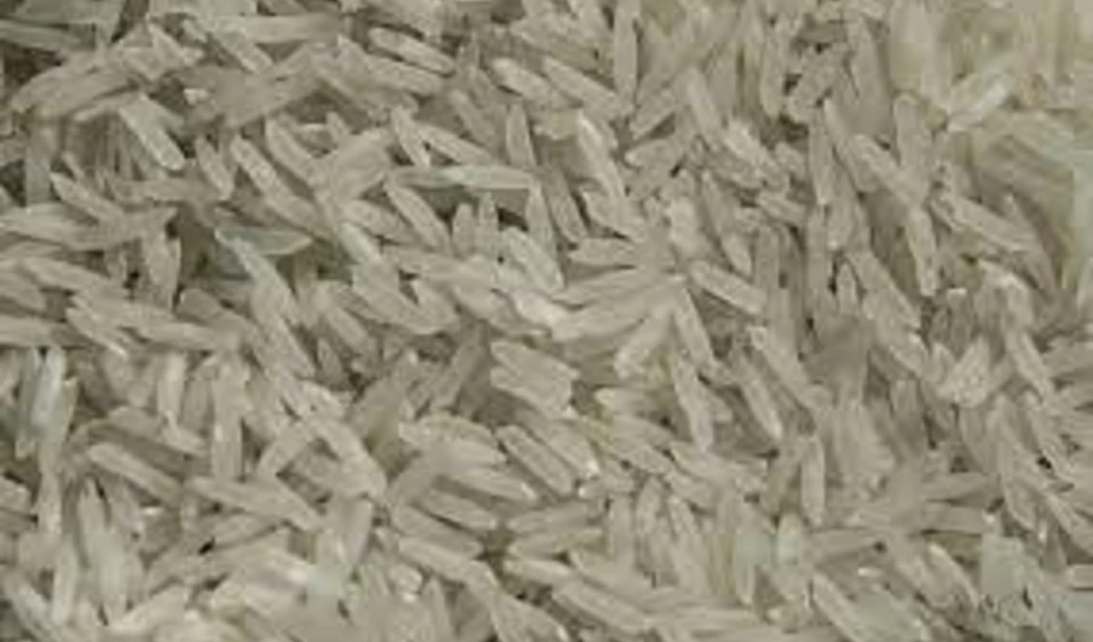 non Basmati white rice