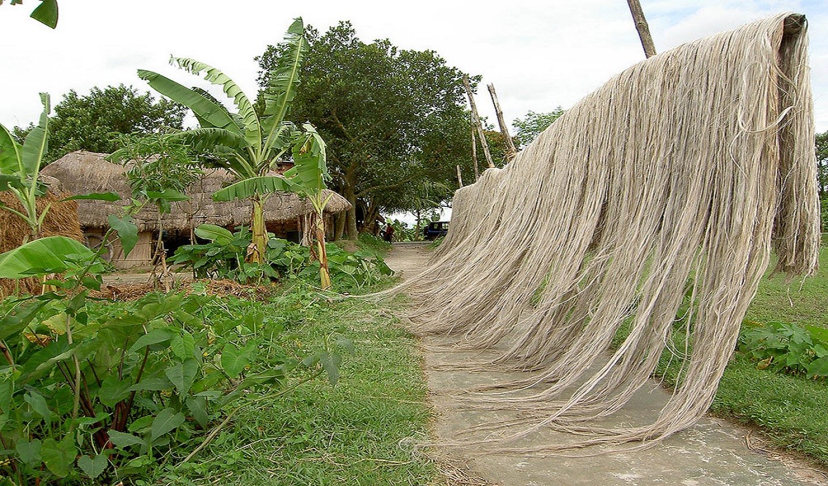  jute cotton prices MSP