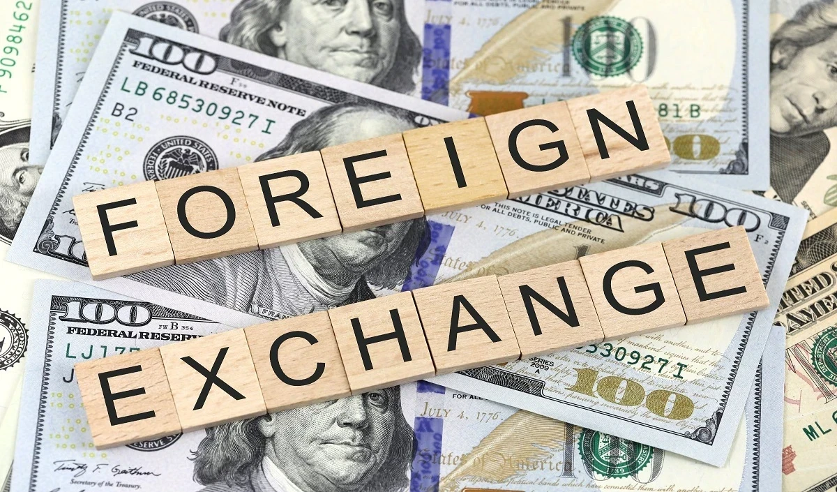 Foreign exchange reserve