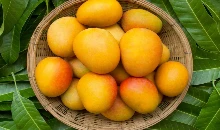 National Mango Day 2024: हर साल 22 जुलाई को मनाया जाता है नेशनल मैंगो डे, जानिए इतिहास