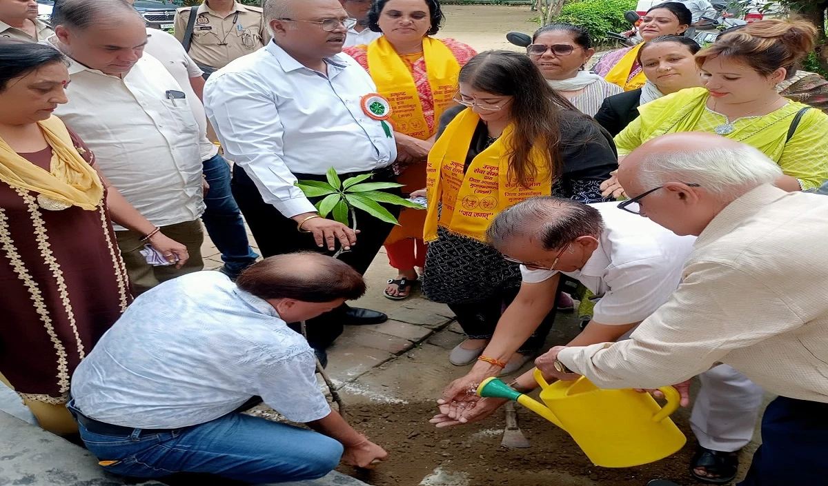 plantation plantation