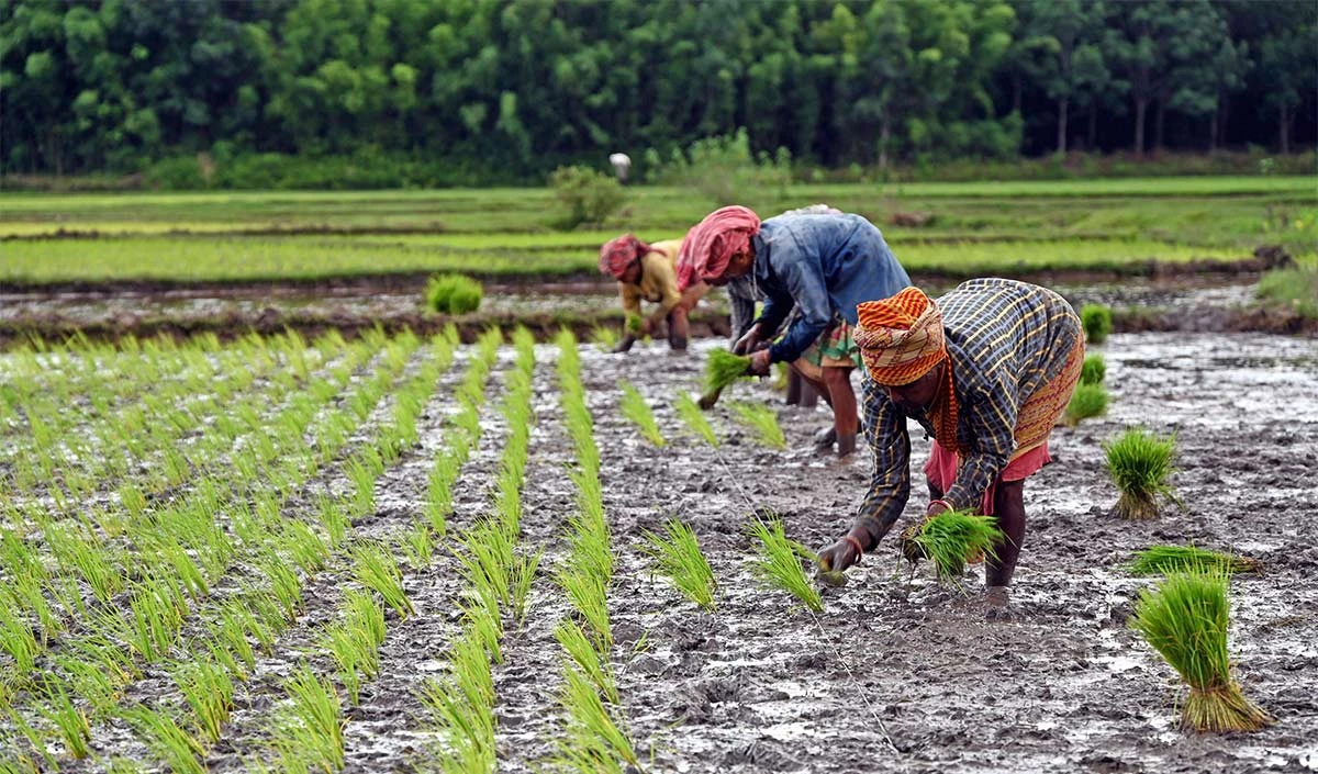 PM Kisan Samman Nidhi Yojana